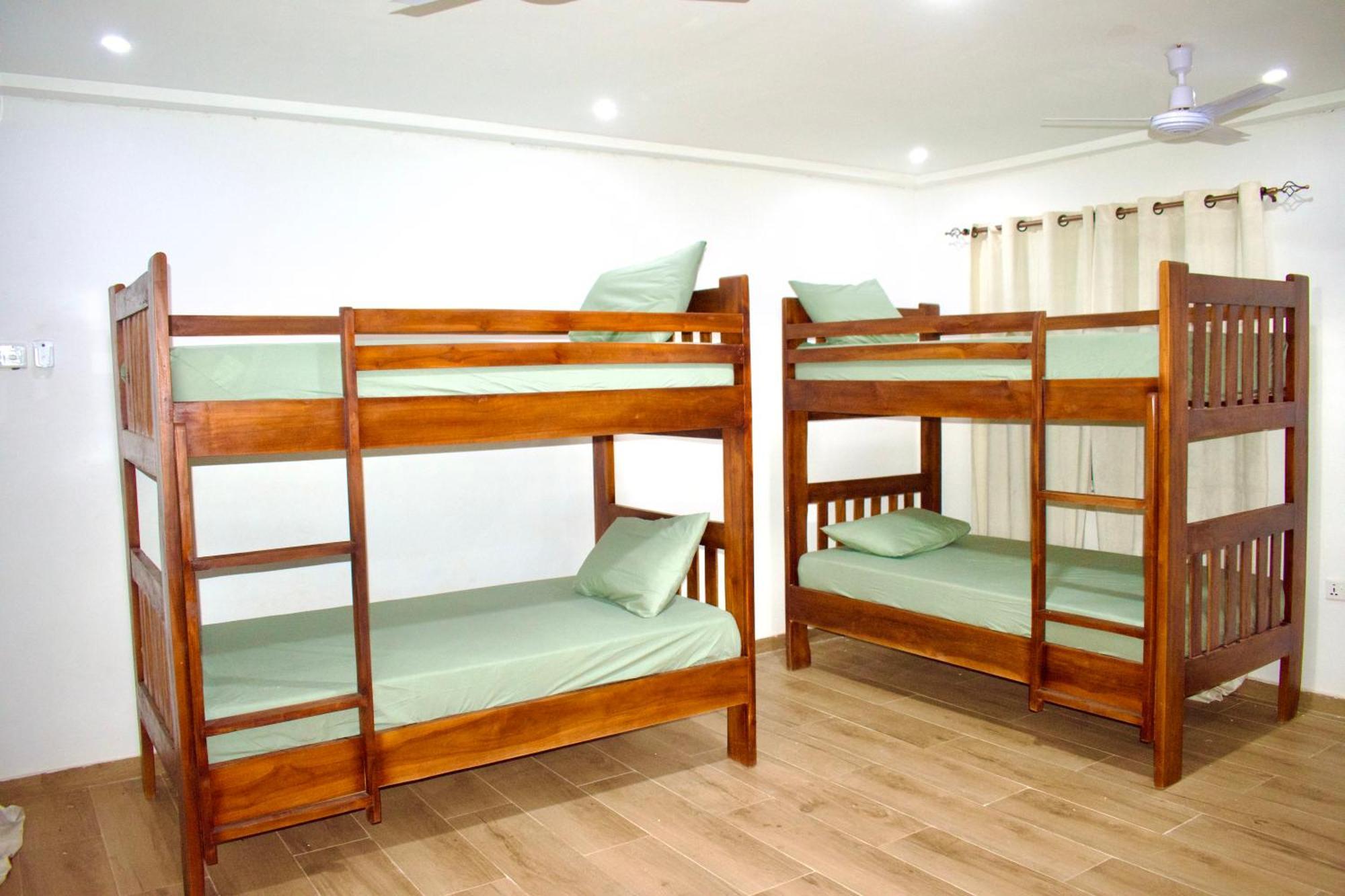 טמלה Tree House Hostel מראה חיצוני תמונה